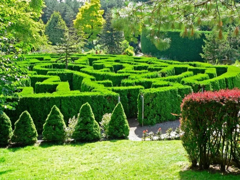 peradeniya-botanical-garden