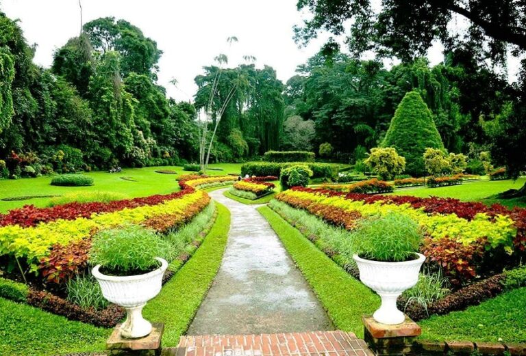 472864805Kandy_Botanical_Garden