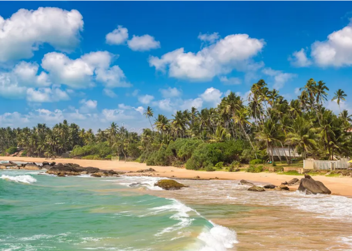 Dalawella Beach 3