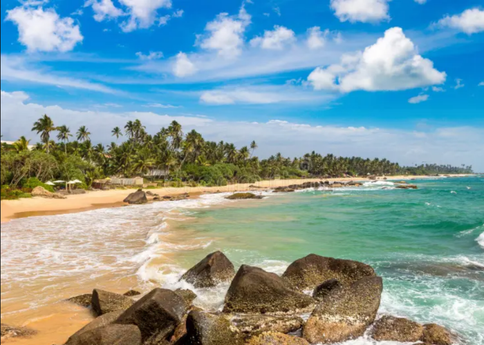 Dalawella Beach 4