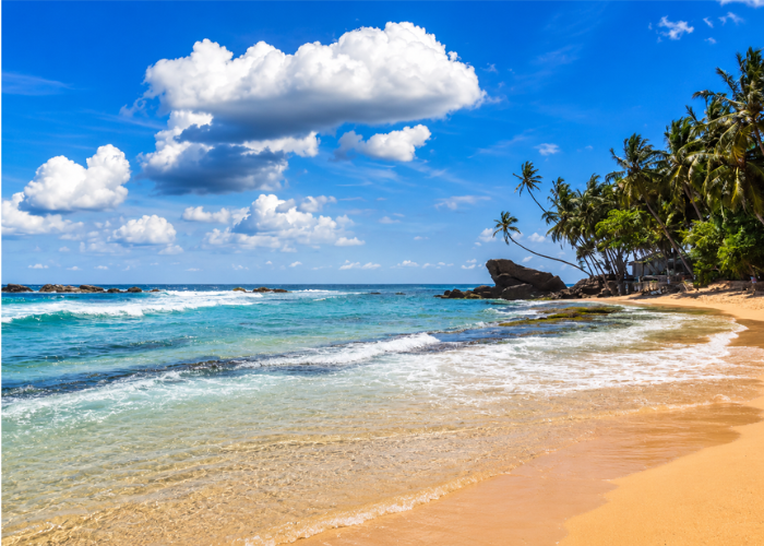 Dalawella Beach 5