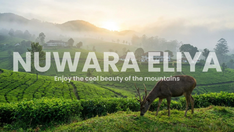 Nuwara Eliya_Adventure Post Cover Image