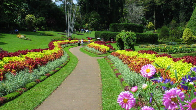 botnical garden