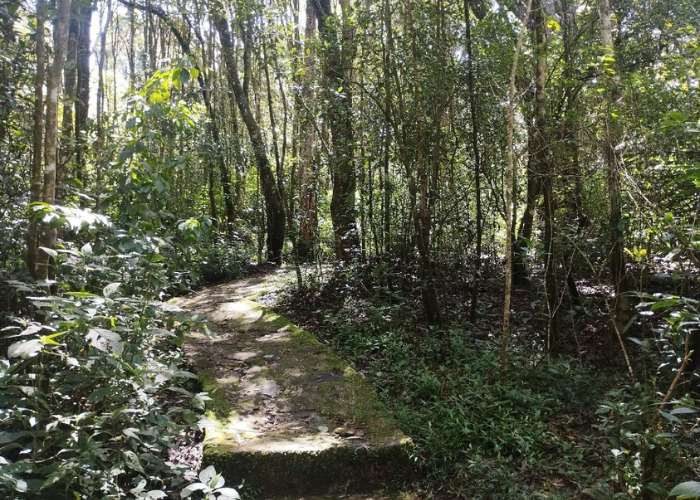 galway-national-park-4