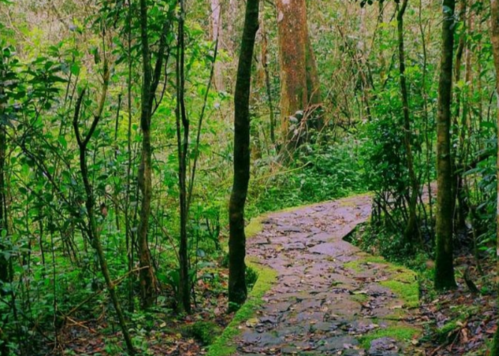 galway-national-park-5