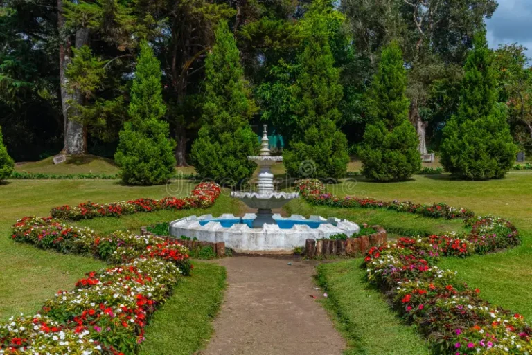 victoria-park-nuwara-eliya-sri-lanka-274451866