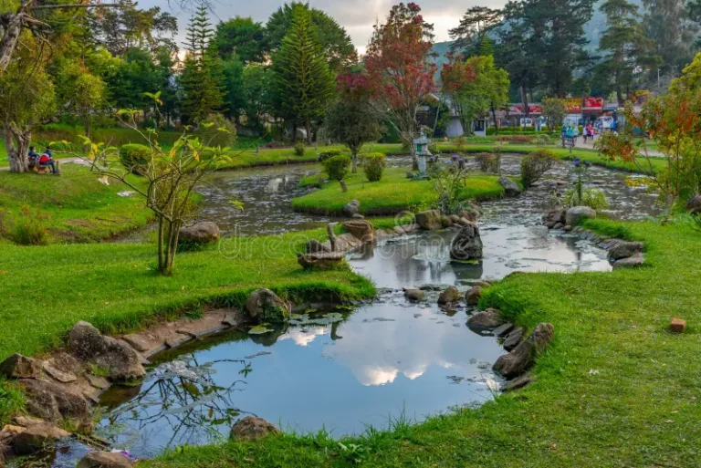 victoria-park-nuwara-eliya-sri-lanka-274452589