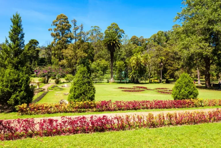 victoria-park-nuwara-eliya-sri-lanka