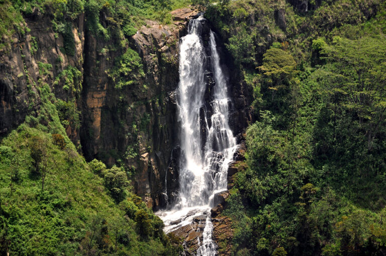 devon-falls-in-dimbula-tea-region-940_orig