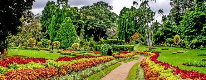 Henerathgoda Botanical Garden