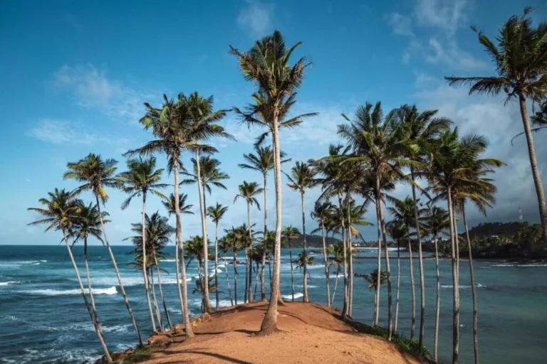 nilaveli beach