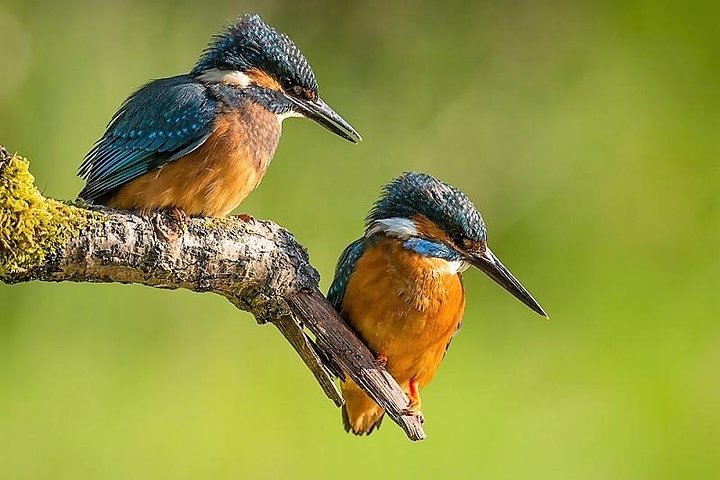 Anawilundawa Wetland Sanctuary1