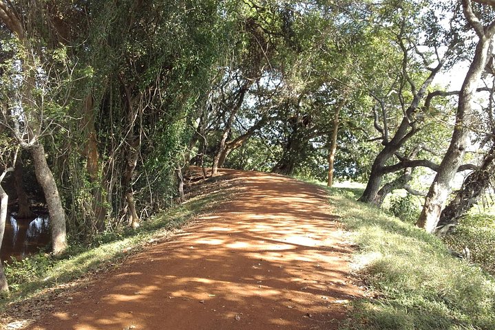 Anawilundawa Wetland Sanctuary3