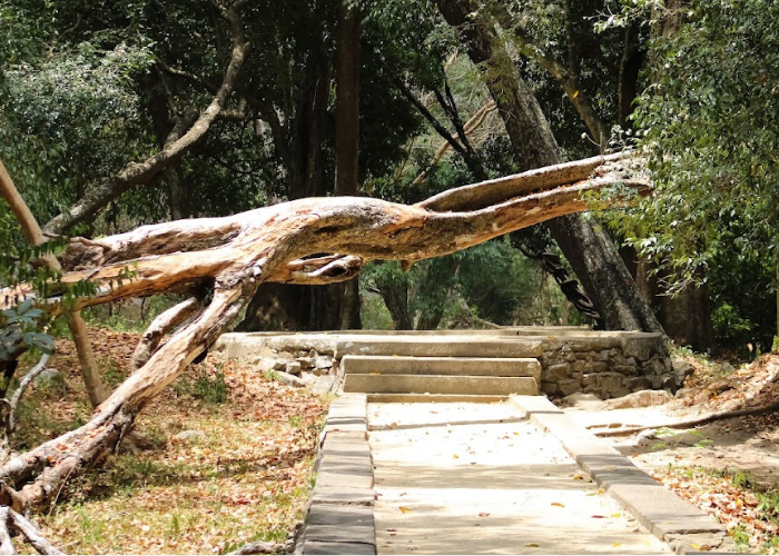 Arankele Forest Monastery1