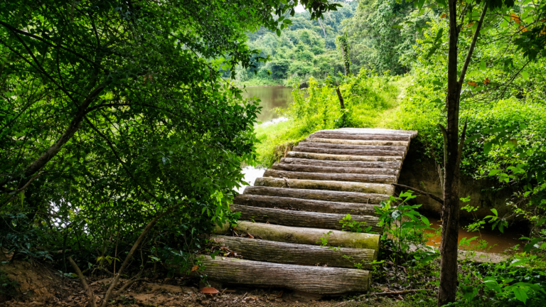 Badagamuwa Conservation Forest