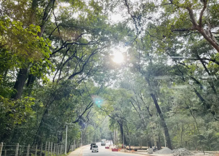 Badagamuwa Conservation Forest4