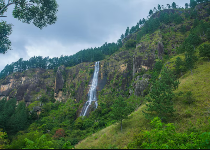 Bambarakanda Waterfall1