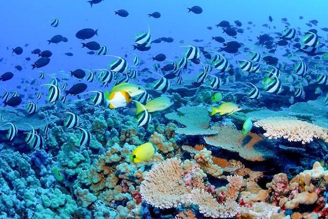 Bar Reef Marine Sanctuary