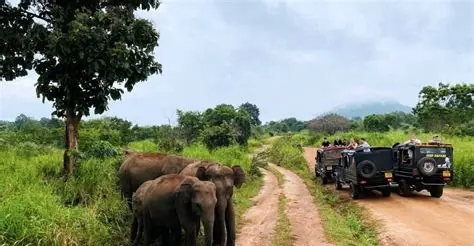 Galwila Eco Park1