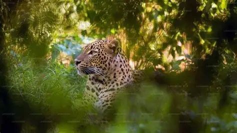Galwila Eco Park2
