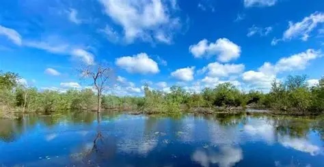 Galwila Eco Park3