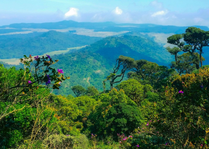 Horton Plains 1