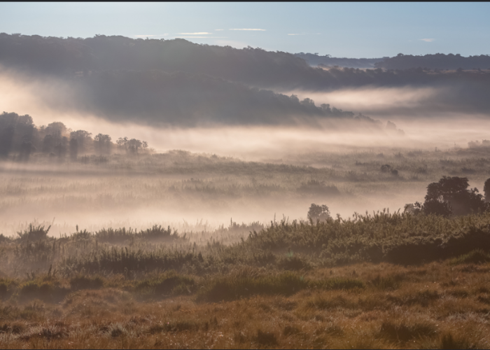 Horton Plains 2