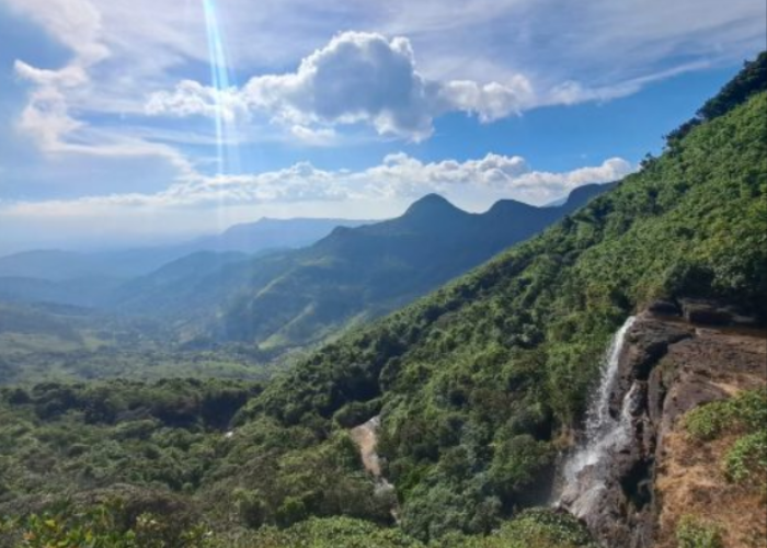 Knuckles Mountain Range 3