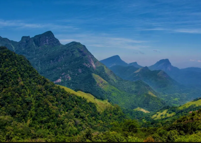 Knuckles Mountain Range 4