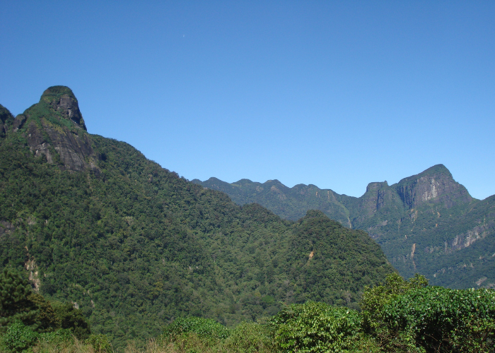 Knuckles Mountain Range2