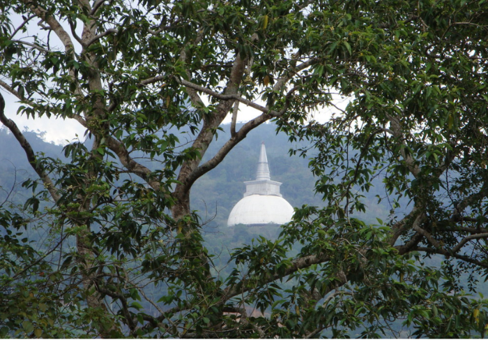 Kotmale Mahaweli Maha Seya3