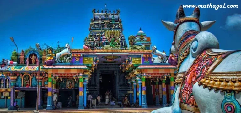 NainathivuNagapooshaniAmman06(1)