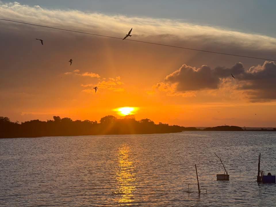 nandi kadal lagoon