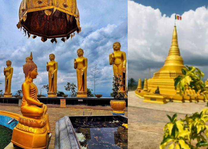 Nelligala International Buddhist Centre4