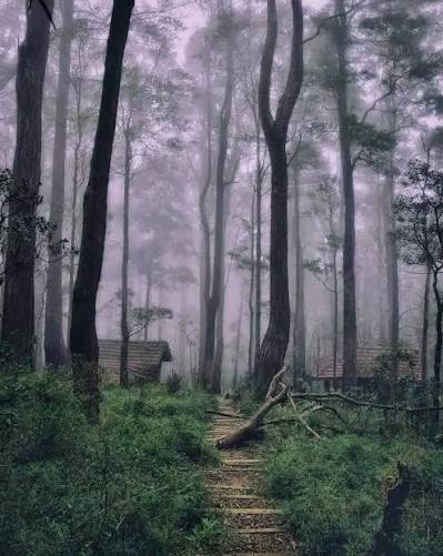Ohiya2
