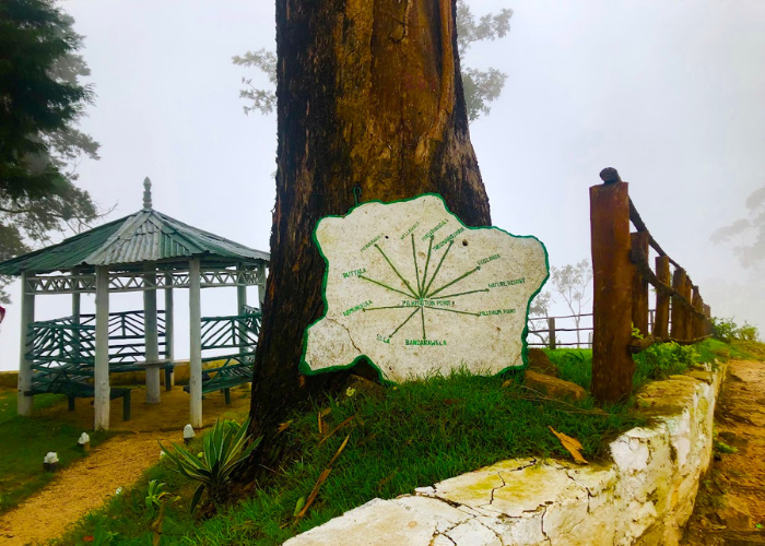 Pilkington Point1