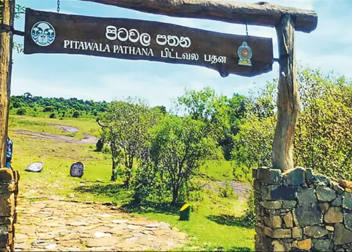 Pitawala Pathana1