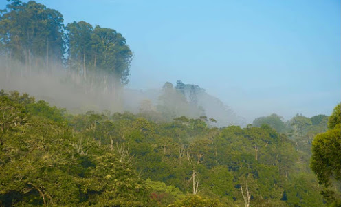 Thangamale Sanctuary