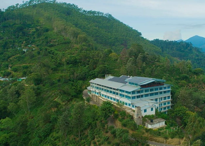 Uva Halpewatte Tea Factory3