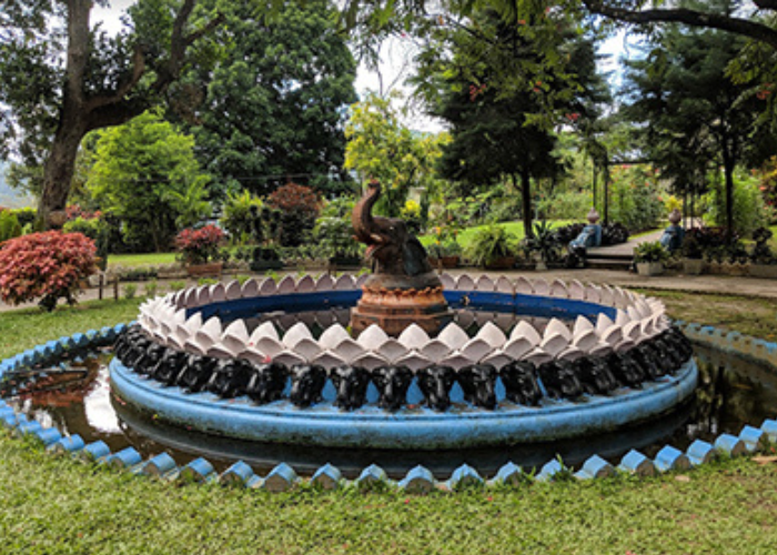 Wales-Park2