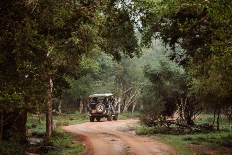Wilpattu-National-Park