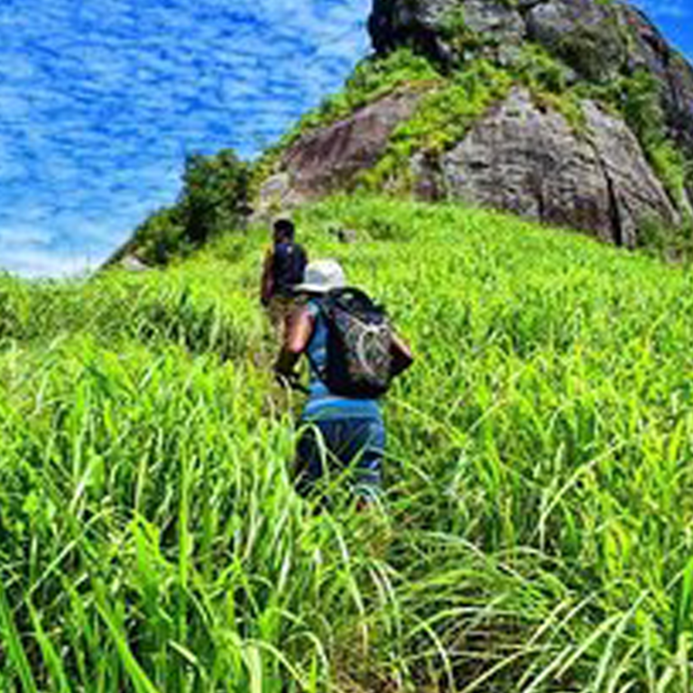 Alagalla Mountain Range