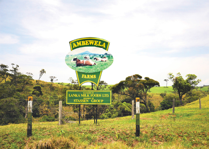 ambewela43