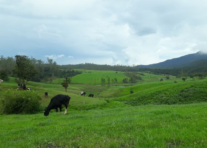 ambewela5