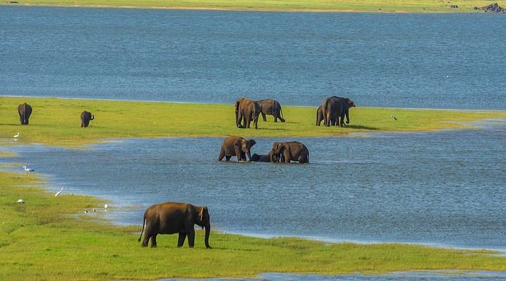 angamedilla national park