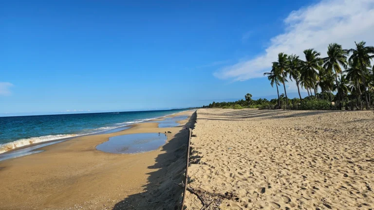 beach