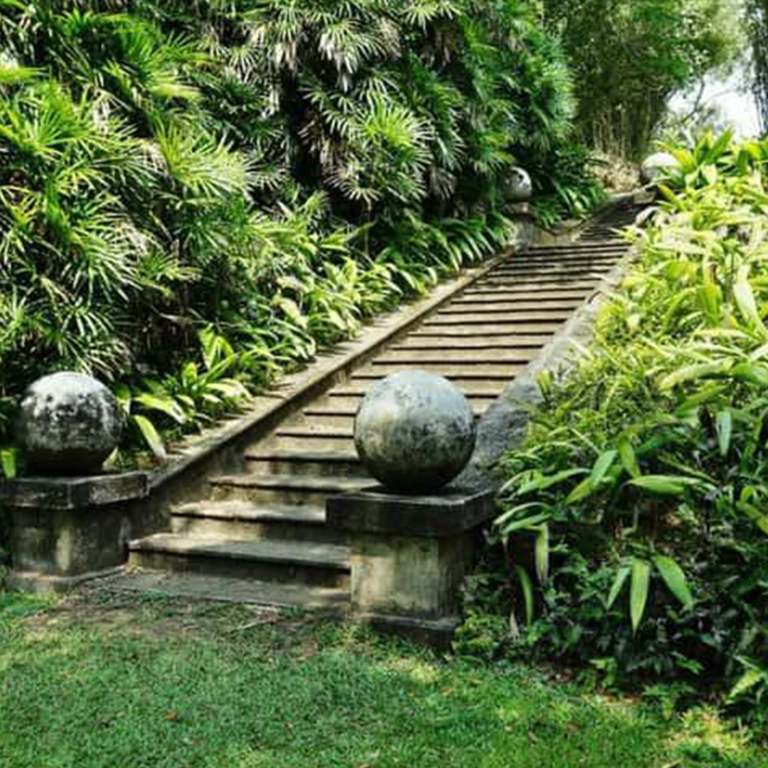 Brief Garden