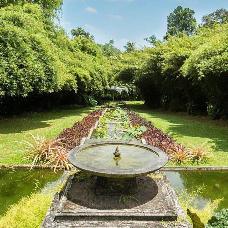 Brief Garden