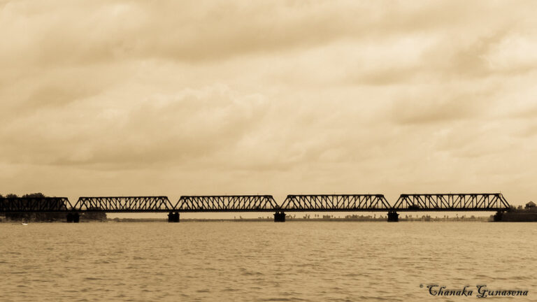 bridge1