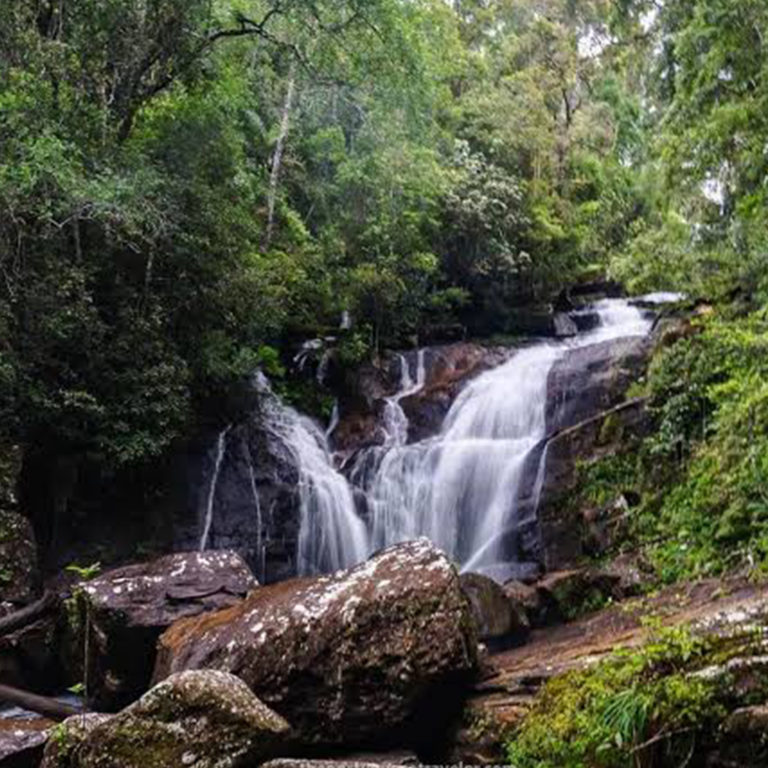 Sinharaja Forest Reserve